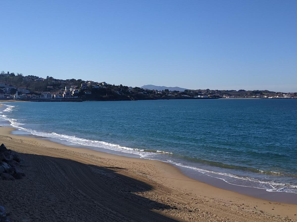 Labechiloa - T4 - 84 M2 - 3 Ch - Centre Historique Saint-Jean-de-Luz
